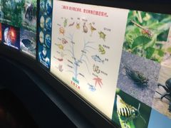 -上海昆虫博物馆