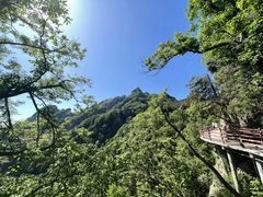 -老君山风景名胜区