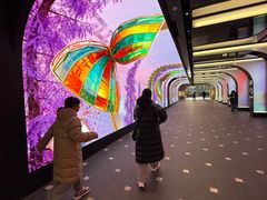 -乐天免税店(明洞店)