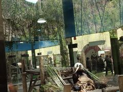 -栾川竹海野生动物园