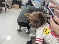 -美联众合动物医院·24h京西诊疗中心