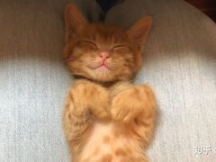 -肯德基(孝陵卫地铁站店)