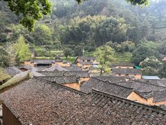 -杨家堂村