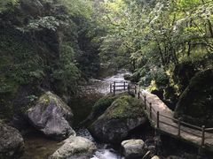 -牛背梁国家森林公园