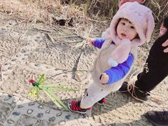-长兴太湖图影湿地文化园