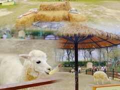 -盈香心动乐园