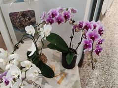 -EPOQUE·一刻花店(兴业太古汇店)