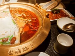 -熊喵来了火锅(太原里第2分店)