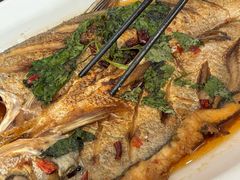 -丹水桥地锅鱼·翘嘴鲌·地方特色全鱼宴(丹江口大坝店)