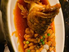 -常州富力喜来登酒店 Feast盛宴标帜西餐厅(新北万达广场店)