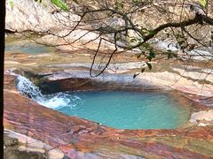 -广州白江湖森林公园