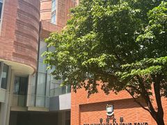 -香港大学