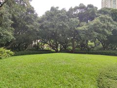 -荔枝公园(福田区)
