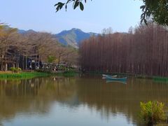 -佛冈森波拉度假区