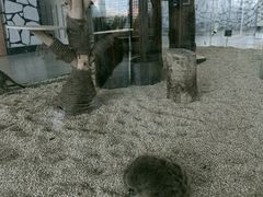 -海合安武汉极地海洋公园