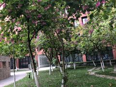 -广州体育职业技术学院