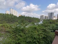 -金鸡岭桥头公园