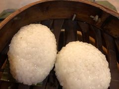 茨毛圆子-双塔老饭店