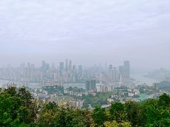 -南山植物园