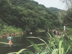 -北仑森林植物园