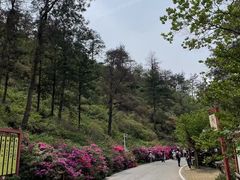 -木兰云雾山