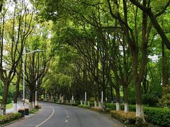 -汤山公园