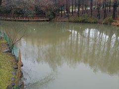 -自然谷恐龙园