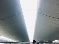 -演武大桥观景平台