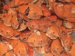 -视界美食自助餐厅·石家庄希尔顿酒店