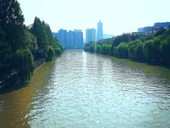 -运河游船(武林门码头)