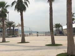 -星巴克臻选(深圳罗湖万象城店)