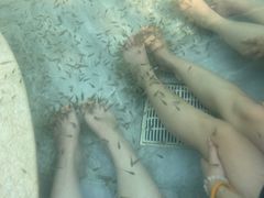 -息烽温泉