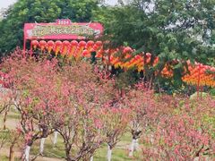 -广州莲花山旅游区