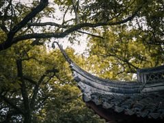 -秋霞圃