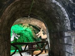 -青岛葡萄酒博物馆
