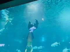 -福州罗源湾海洋世界旅游区