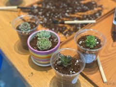 -星巴克(天水秦州万达广场门店)