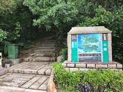 -东澳岛