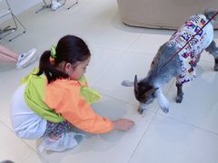 -怪兽屋·羊驼·猫咖·狗咖(俊华广场店)