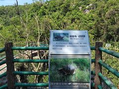 -广东惠东海龟国家级自然保护区