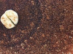 焦糖海盐可丽饼-RAC BAR(安福路店)