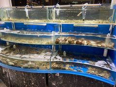 -四海蒸鲜蒸汽海鲜自助(北戴河店)