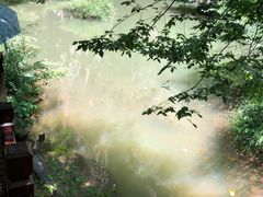 -龙潭大峡谷自然风景区