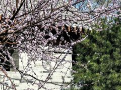 -三里河公园