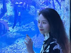 -左海海底世界