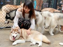-TrueLove @ Neverland (Husky Cafe)