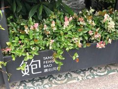 -溏心风鲍港式打边炉(余英坊店)