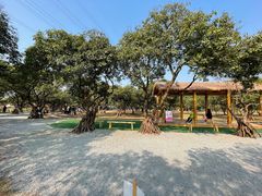 -长洲岛都市农业公园