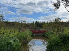 -东平国家森林公园
