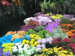 -双季花艺园艺市场(浦东店)